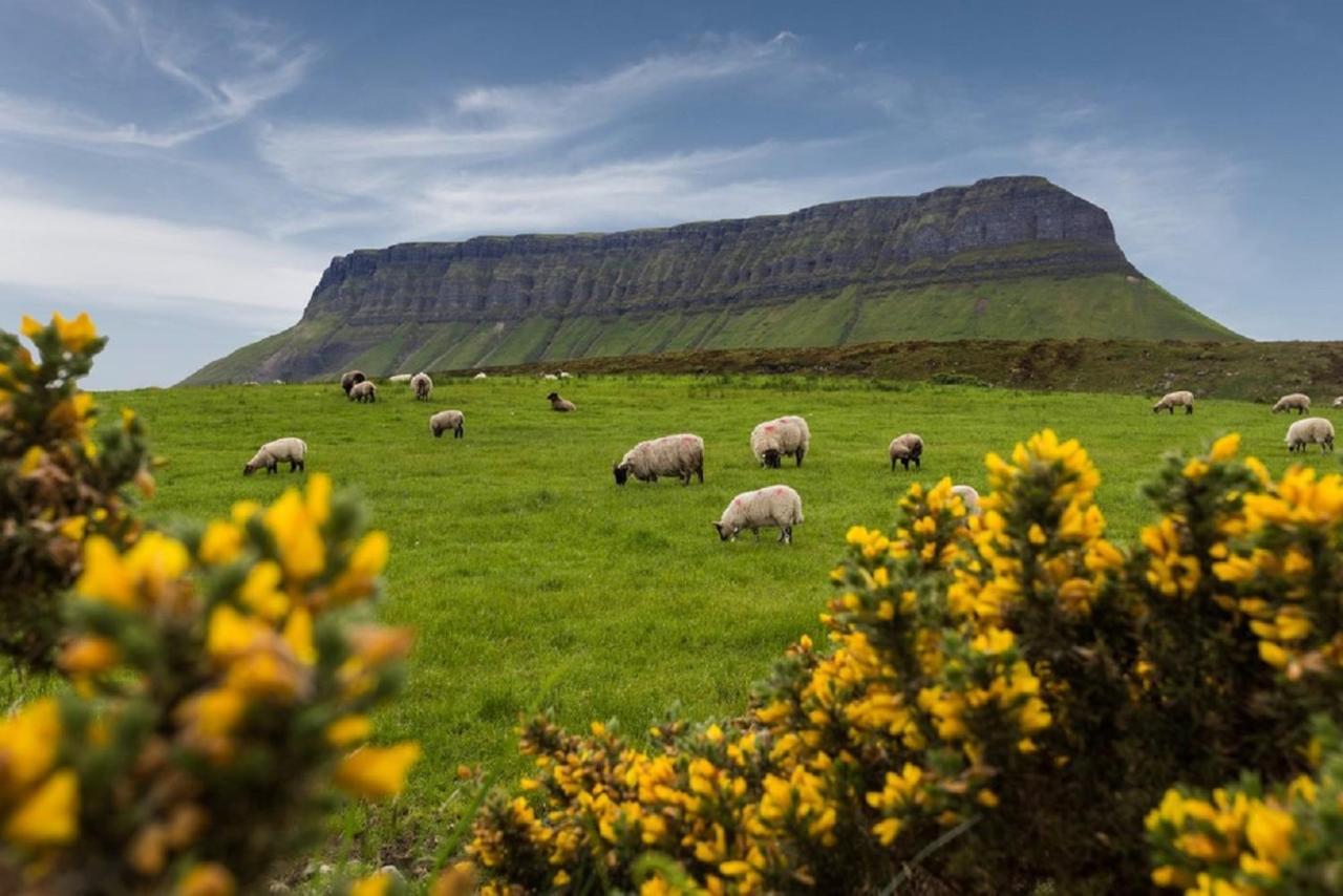 Appartement Benbulben Court à Sligo Extérieur photo